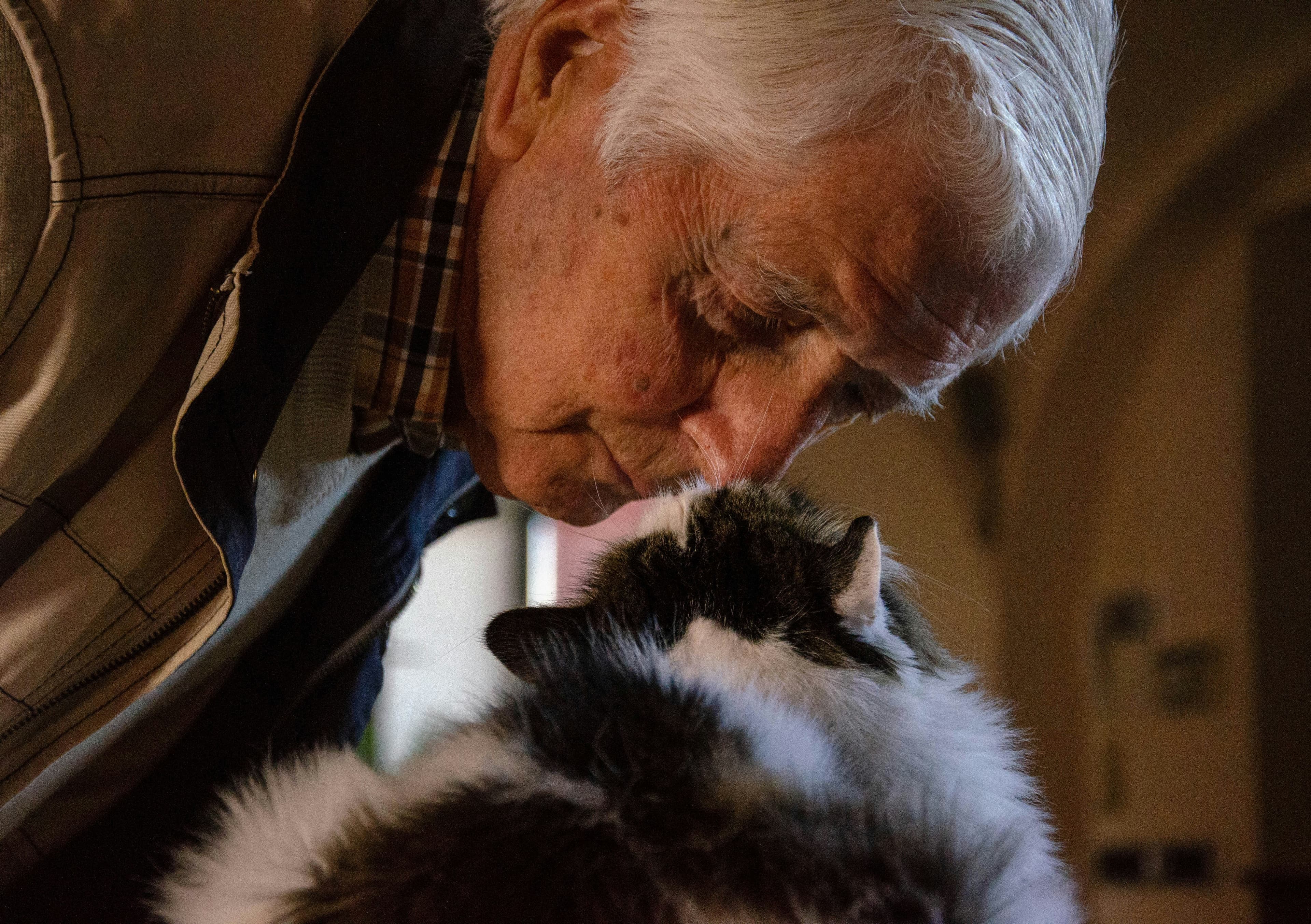 Persona mayor besando a un gato